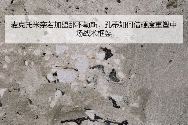 mai-ke-tuo-mi-nai-ruo-jia-meng-na-bu-le-si-kong-di-ru-he-jie-ying-du-zhong-su-zhong-chang-zhan-shu-kuang-jia-2-882.jpg